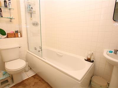 Picture 7